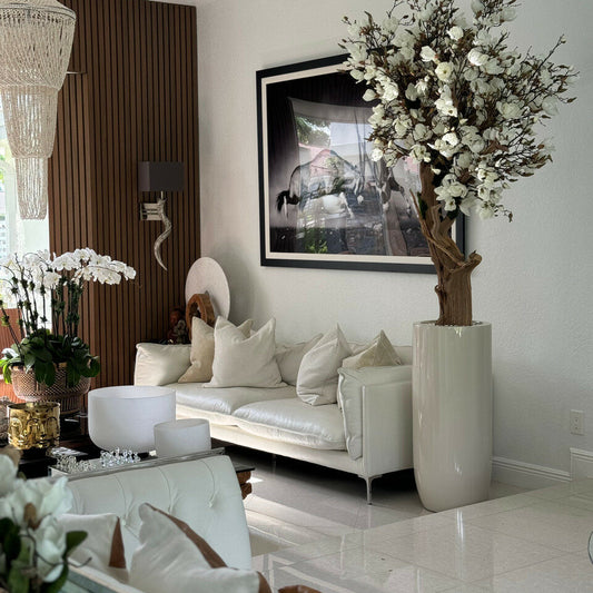 Weißer Magnolienbaum im glänzenden St. Tropez-Topf in Beige